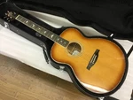 Paul Reed Smith Prs Se T40E Ts (NO250807). Fixed Price $690.00.