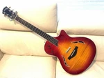 Taylor 2005 Acoustic Electric Thinline Hollowbody T5 Gloss Flamed Maple Guitar. Fixed Price $1800.00.