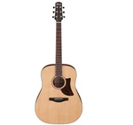Ibanez AAD100 Acoustic Guitar Solid Spruce Top Open Pore Natural. Fixed Price $350.78.