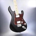 Cort G100 Hh Series Double Cutaway Electric Guitar. Open Pore Black. Fixed Price $269.99.