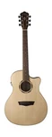 Other Woodline 20 Series 6 String Acoustic-electric Guitar, Right, Natural (o.... Fixed Price $359.83.