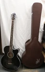 Michael Kelly Dragonfly 5-STRING Acoustic-electric Bass Guitar. Fixed Price $549.99.