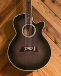 Takamine NPT110-12 Black (NO260425). Fixed Price $1057.00.
