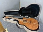 Electric Acoustic Guitar Cole Clark AN3EC-BLBL-AE Natural S/n 20058716 With Case. Fixed Price $2982.00.