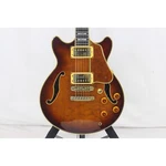 Ibanez AM200 Electric Guitar. Fixed Price $2361.99.
