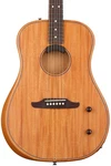 Fender Highway Series Dreadnought Acoustic-electric Guitar Mahogany. Fixed Price $999.99.
