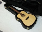 Luna Artist Recorder Acoustic Dreadnought Guitar New W/ Case - All Solid Wood. Fixed Price $619.99.