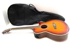 Aria Elecord Fet-sptbs Acoustic Electric Guitar With Soft Case Sunburst Design. Fixed Price $265.99.
