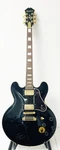 Epiphone B.b. King Lucille Guitar Signed By W/ Backstage Pass & Case. Fixed Price $3999.99.