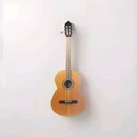 Greg Bennett Samich Acoustic Guitar 6 String. Fixed Price $139.00.