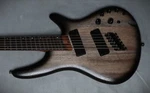 Ibanez SRC6MS Bass Vi Multi Scale "fan Fret" 2024 Black Stained Burst Low Gloss. Fixed Price $799.99.
