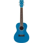 Cordoba 15C Concert Ukulele Sea Sky 197881479602 Rf. Fixed Price $119.99.