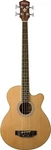 Washburn AB5K-A 5-STRING Acoustic Guitar,. Fixed Price $619.00.