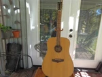 Tanglewood Evolution TW28-CLN Dreadnought Acoustic Guitar. Fixed Price $299.97.