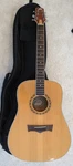 Peavey DW-2 6-STRING Acoustic Electric Guitar With Soft Case. Fixed Price $225.00.