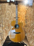 Prs Paul Reed Smith Se Angelus Standard Acoustic Guitar Bird Inlay Korea W/o Pu. Fixed Price $598.00.