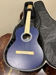 Cordoba Protege C1, Nylon String Acoustic Guitar - Spruce. Fixed Price $215.00.