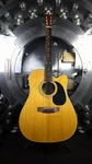 Abilene AW-25 Acoustic Electric Guitar W/ Hard Case. Fixed Price $199.99.