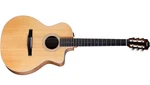 Taylor 214CE-N Nylon Grand Auditorium Acoustic/electric Guitar With Gig Bag. Fixed Price $749.00.