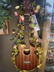 Ibanez UEW5E Acoustic - Electric Concert Ukulele. Fixed Price $150.00.
