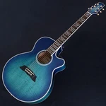 Takamine / FPT181AC Sbb 100 Series Electric Acoustic Guitar. Fixed Price $2296.00.