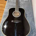 Esteban Plug In Acoustic Guitar American Legacy Black Model -AL-100. Fixed Price $200.00.