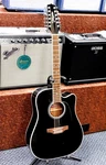 2025 Takamine GD38CE Dreadnought Cutaway Acoustic-electric 12-STRING Guitar!!!. Fixed Price $999.00.
