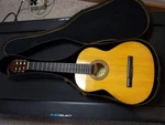 Amigo Classical By Lotus 50 With Case Made In Romania. Mother Of Pearl Knobs. Fixed Price $69.00.
