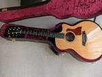 Taylor 516CE Luxury Guitar NO.MG2913. Fixed Price $3311.45.