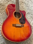 Epiphone PR-6E. Fixed Price $694.05.