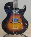 The Loar LH-280 Hollow Body Guitar Maple Neck 19F. Fixed Price $863.96.