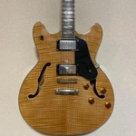 Washburn HB-35 Nk Semi-hollow Electric Guitar Natural Flame Maple Top. Fixed Price $851.73.