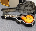 D'angelico Excel EXL-1 Hollowbody Electric Guitar W/case! Dark Iced Tea Burst!!. Fixed Price $1199.00.