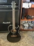 Washburn EA44B Acoustic Electric Guitar (prince!) Vintage Japanese. Fixed Price $829.99.