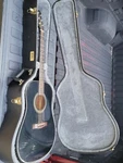 Fender DG-11E Acoustic Electric Guitar Black (6 String) + Hard Tkl Case *nice!*. Fixed Price $399.95.