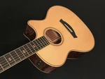 2012 Taylor Gs-ce Fltd Fall Limited Edition Acoustic Electric. Fixed Price $2999.00.