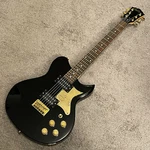 Washburn Lyon Guitar Fall Out Boy Signed Autographed By Joe Trohman 3000 Of 7000. Fixed Price $319.99.