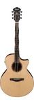 Ibanez AE325 Acoustic Electric Guitar - Natural Low Gloss. Fixed Price $929.99.