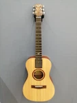 Overhead OF410N Electric Acoustic Guitar. Fixed Price $819.99.