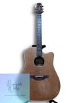 Takamine EAN10C Rare Import Not Sold Japan. Fixed Price $2547.09.