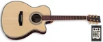 Easy Play Acoustic Electric Guitar Used By Alice Cooper Godsmack Martin D35 H. Fixed Price $2595.00.