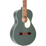 Ortega Gaucho Parlor Classical Guitar Platinum. Fixed Price $199.99.