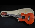 Gretsch G9121 A.c.e. Tenor Acoustic-electric Ukulele With Gig Bag Honey. Fixed Price $179.99.