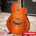 Taylor Custom Shop T5Z #C0960 Figured Ironbark/shamel Ash Hollow Body Ele. Fixed Price $4799.00.