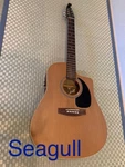 Electric Acoustic Guitar Seagull S6+CW With Hard Case. Fixed Price $870.00.