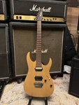 Ibanez RGA121 Electric Guitar Natural 6 String Maple Mahogany W/ Case. Fixed Price $1200.00.