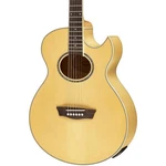 Wahsburn EA20 Festival Series Florentine Acoustic-electric Guitar Natural. Fixed Price $499.00.