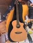Breedlove Passport Series C250/CME Acoustic-electric Guitar. Fixed Price $150.00.