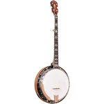 Gold Tone RF250+ Professional Bluegrass Banjo Vintage Brown 197881455606. Fixed Price $1759.99.