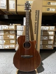 Ibanez AEG220 Acoustic-electric Guitar Natural Low Gloss. Fixed Price $549.99.